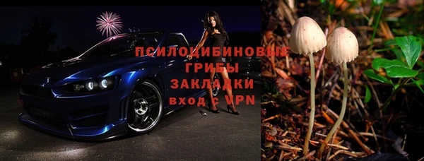 ешки Козловка