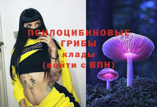 ешки Козловка
