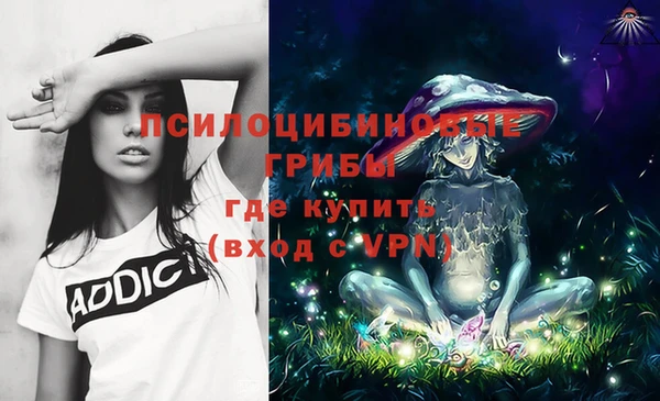ECSTASY Козельск