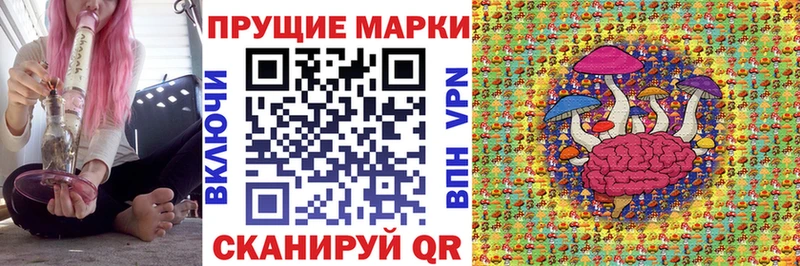 Купить закладки  Губаха  Марки N-bome 1,8мг 